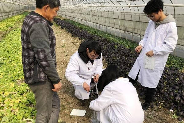 2025年免费资科大